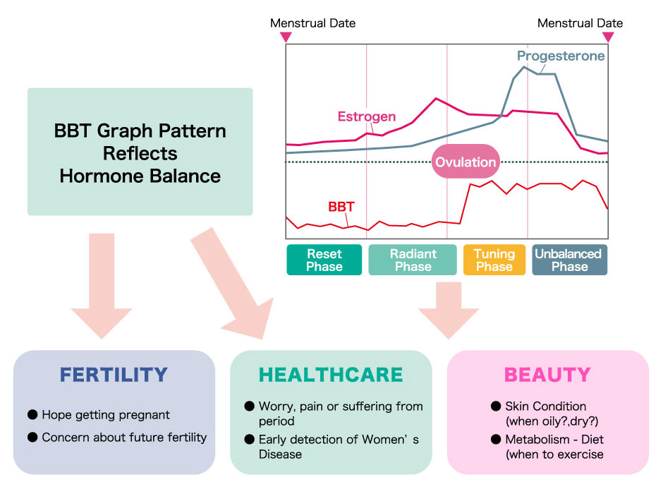 About BBT Digital Basal Thermometer TDK Product Center