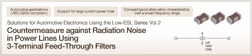 Countermeasure against Radiation Noise in Power Lines Using 3-Terminal Feed-Through Filters